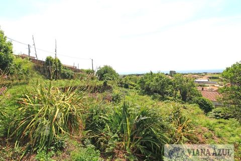 Terra a Areosa, Viana do Castelo, Areosa - € 175.000 | Ref: 2001 - foto 9