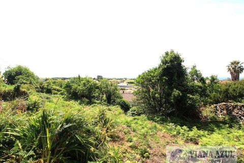 Terra a Areosa, Viana do Castelo, Areosa - € 175.000 | Ref: 2001 - foto 10