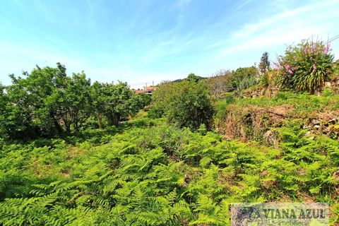 Terra a Areosa, Viana do Castelo, Areosa - € 175.000 | Ref: 2001 - foto 11