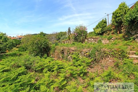 Terra a Areosa, Viana do Castelo, Areosa - € 175.000 | Ref: 2001 - foto 12