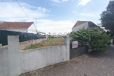 Helårsgrund i Riachos, Santarem, Riachos - € 65.000 | Ref: 1056 - foto 3