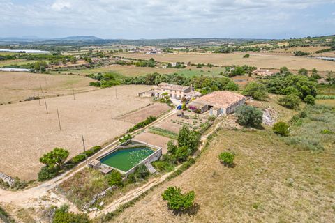 Villa in Manacor, Mallorca - foto 1