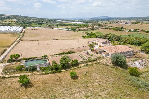 Villa in Manacor, Mallorca - foto 2