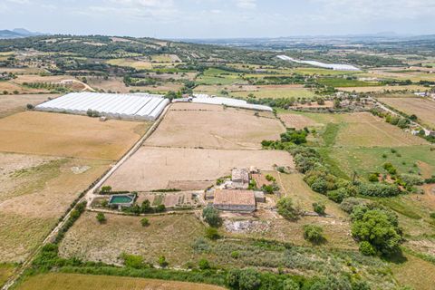 Villa in Manacor, Mallorca - foto 3