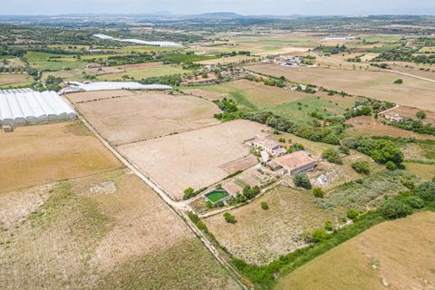 Villa in Manacor, Mallorca - foto 4