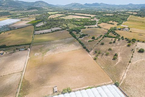 Terra a Manacor, Mallorca, Manacor - € 400.000 | Ref: JRPRB1055/3010 - foto 2