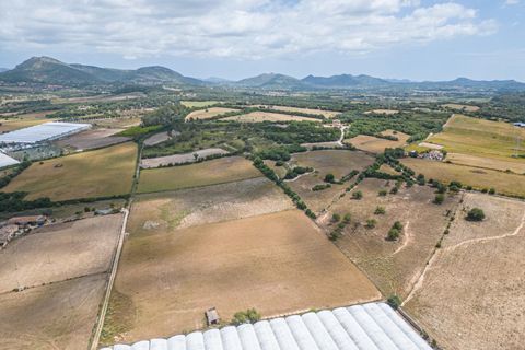 Terra a Manacor, Mallorca, Manacor - € 400.000 | Ref: JRPRB1055/3010 - foto 3