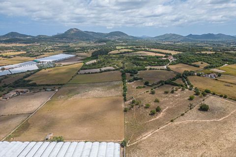 Terra a Manacor, Mallorca, Manacor - € 400.000 | Ref: JRPRB1055/3010 - foto 4