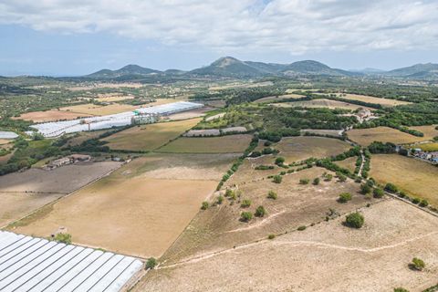 Terra a Manacor, Mallorca, Manacor - € 400.000 | Ref: JRPRB1055/3010 - foto 5