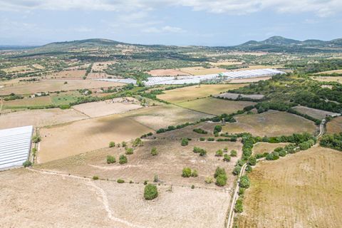 Terra a Manacor, Mallorca, Manacor - € 400.000 | Ref: JRPRB1055/3010 - foto 7