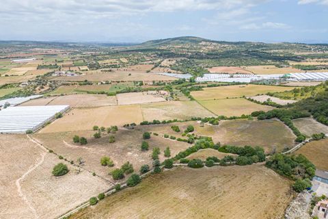 Terra a Manacor, Mallorca, Manacor - € 400.000 | Ref: JRPRB1055/3010 - foto 8