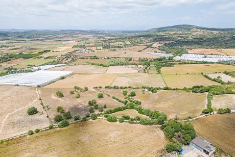 Terra a Manacor, Mallorca, Manacor - € 400.000 | Ref: JRPRB1055/3010 - foto 9
