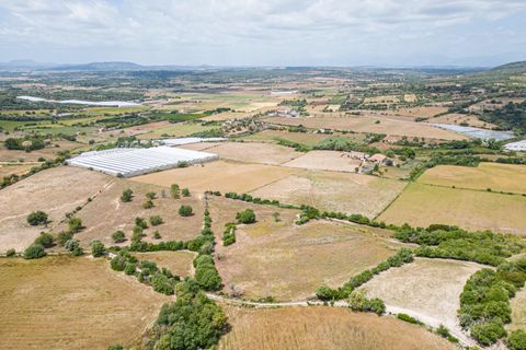 Terra a Manacor, Mallorca, Manacor - € 400.000 | Ref: JRPRB1055/3010 - foto 10