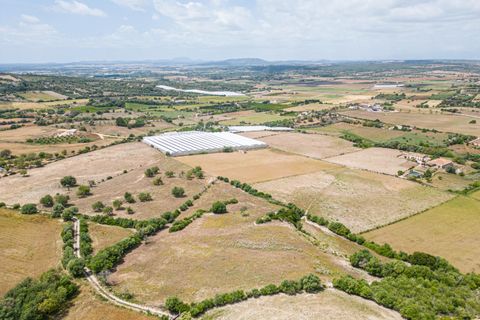 Terra a Manacor, Mallorca, Manacor - € 400.000 | Ref: JRPRB1055/3010 - foto 11