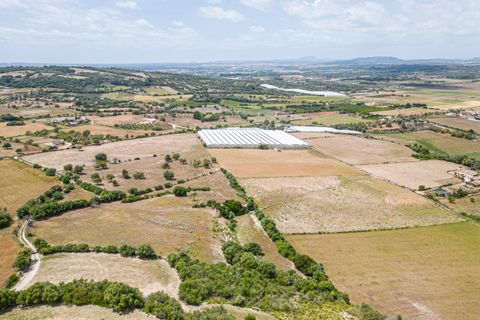 Terra a Manacor, Mallorca, Manacor - € 400.000 | Ref: JRPRB1055/3010 - foto 12