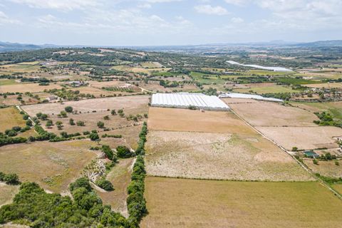 Terra a Manacor, Mallorca, Manacor - € 400.000 | Ref: JRPRB1055/3010 - foto 13