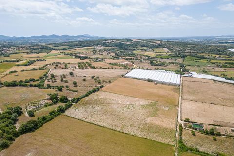 Terra a Manacor, Mallorca, Manacor - € 400.000 | Ref: JRPRB1055/3010 - foto 14