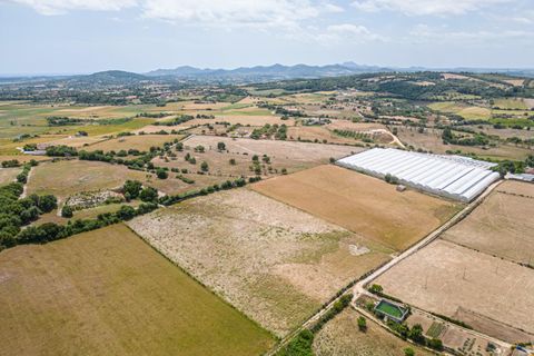 Terra a Manacor, Mallorca, Manacor - € 400.000 | Ref: JRPRB1055/3010 - foto 15