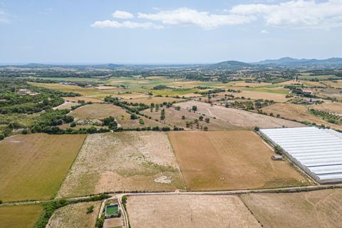 Terra a Manacor, Mallorca, Manacor - € 400.000 | Ref: JRPRB1055/3010 - foto 16
