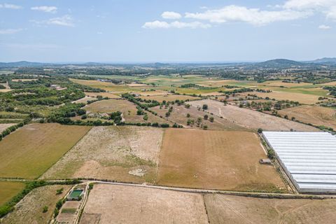 Terra a Manacor, Mallorca, Manacor - € 400.000 | Ref: JRPRB1055/3010 - foto 17