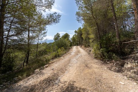 Farm hus i Tortosa, Tarragona, Tortosa - € 60.000 | Ref: 868 - foto 25