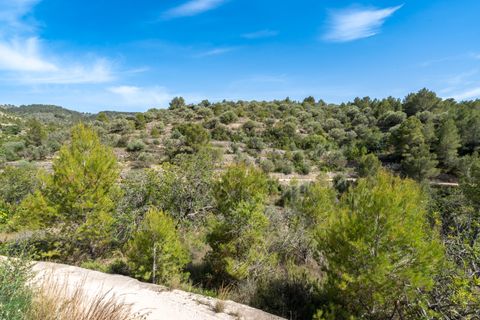 Farm hus i Tortosa, Tarragona, Tortosa - € 60.000 | Ref: 868 - foto 26