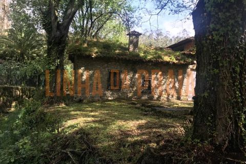Landejendom i Vila do Conde, Porto, Vila do Conde - € 110.000 | Ref: 4803 - foto 4