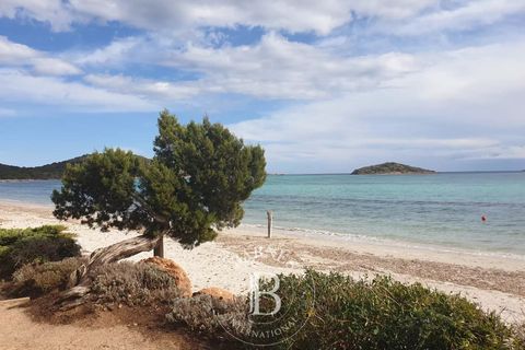 Terra a Sainte-Lucie de Porto-Vecchio, Corse-du-Sud - foto 2