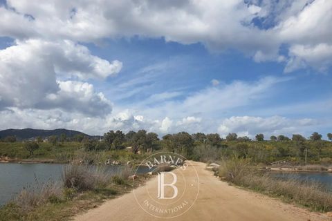 Terra a Sainte-Lucie de Porto-Vecchio, Corse-du-Sud - foto 1