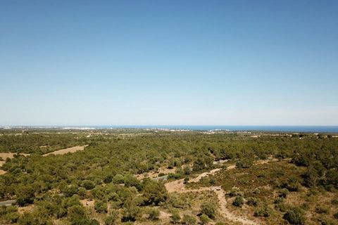 Terra a Manacor, Mallorca, Manacor - € 465.000 | Ref: MAN0455a - foto 17