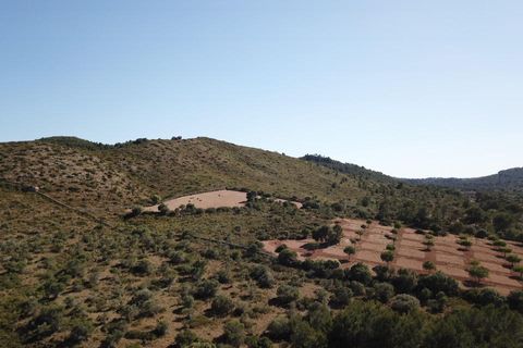 Terra a Manacor, Mallorca, Manacor - € 465.000 | Ref: MAN0455a - foto 19