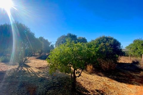 Helårsgrund i Almancil, Faro, Almancil - € 600.000 | Ref: 2406 - foto 1