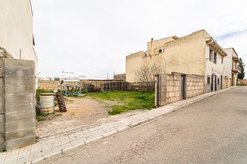 Helårsgrund i Manacor, Mallorca, Manacor - € 135.000 | Ref: SDAM1002/3010 - foto 7