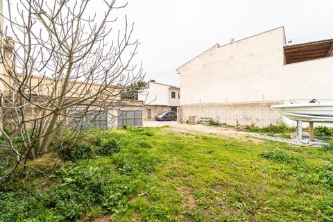 Helårsgrund i Manacor, Mallorca, Manacor - € 135.000 | Ref: SDAM1002/3010 - foto 9