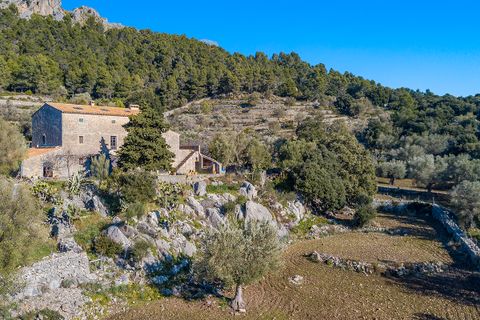 Cortijo i Pollenca, Mallorca, Pollenca - € 5 400 000 | Ref: POL52900 - foto 8