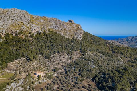 Cortijo i Pollenca, Mallorca, Pollenca - € 5 400 000 | Ref: POL52900 - foto 9