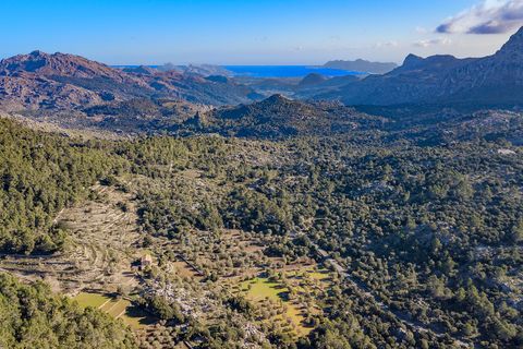 Cortijo i Pollenca, Mallorca, Pollenca - € 5 400 000 | Ref: POL52900 - foto 10