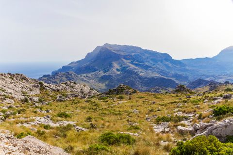 Cortijo i Pollenca, Mallorca, Pollenca - € 5 400 000 | Ref: POL52900 - foto 12