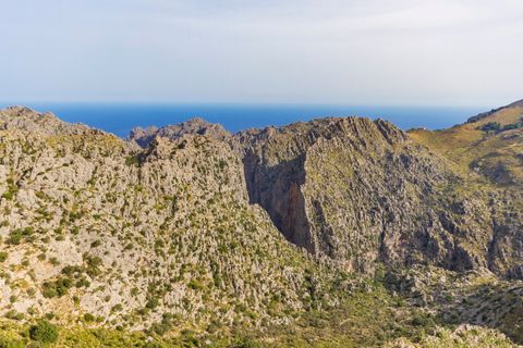 Cortijo i Pollenca, Mallorca, Pollenca - € 5 400 000 | Ref: POL52900 - foto 13