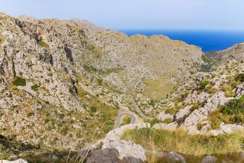 Cortijo i Pollenca, Mallorca, Pollenca - € 5 400 000 | Ref: POL52900 - foto 16