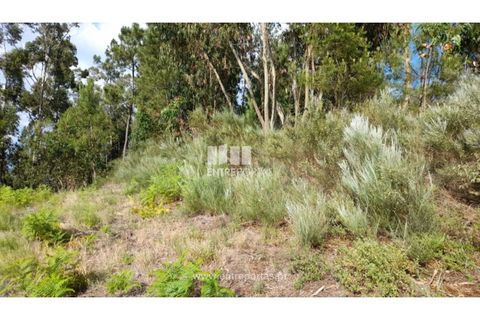 Helårsgrund i Gondomar, Porto, Gondomar - € 50.000 | Ref: MC09527 - foto 3