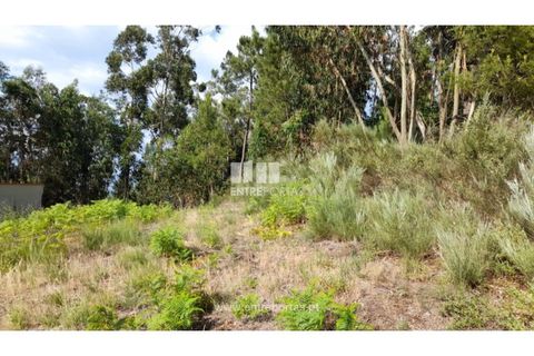 Helårsgrund i Gondomar, Porto, Gondomar - € 50.000 | Ref: MC09527 - foto 6