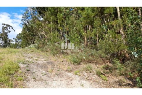 Helårsgrund i Gondomar, Porto, Gondomar - € 50.000 | Ref: MC09527 - foto 1