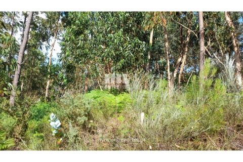 Helårsgrund i Gondomar, Porto, Gondomar - € 50.000 | Ref: MC09527 - foto 9