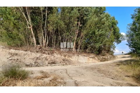Helårsgrund i Gondomar, Porto, Gondomar - € 50.000 | Ref: MC09527 - foto 7