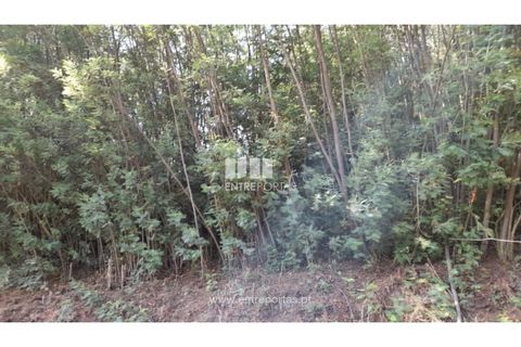 Helårsgrund i Gondomar, Porto, Gondomar - € 50.000 | Ref: MC09527 - foto 11