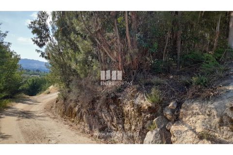 Helårsgrund i Gondomar, Porto, Gondomar - € 50.000 | Ref: MC09527 - foto 4