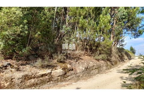 Helårsgrund i Gondomar, Porto, Gondomar - € 50.000 | Ref: MC09527 - foto 14