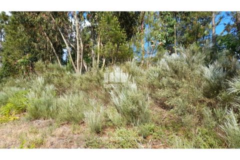 Helårsgrund i Gondomar, Porto, Gondomar - € 50.000 | Ref: MC09527 - foto 16
