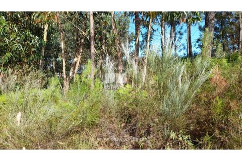 Helårsgrund i Gondomar, Porto, Gondomar - € 50.000 | Ref: MC09527 - foto 17